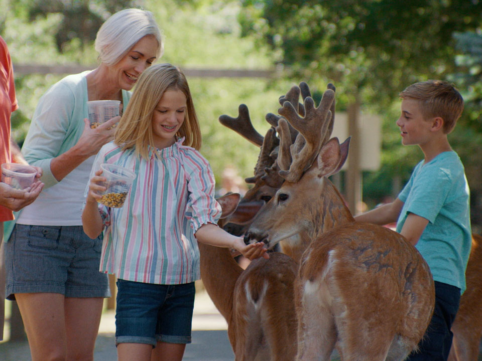 Kids feeding a deer at Wisconsin Deer Park