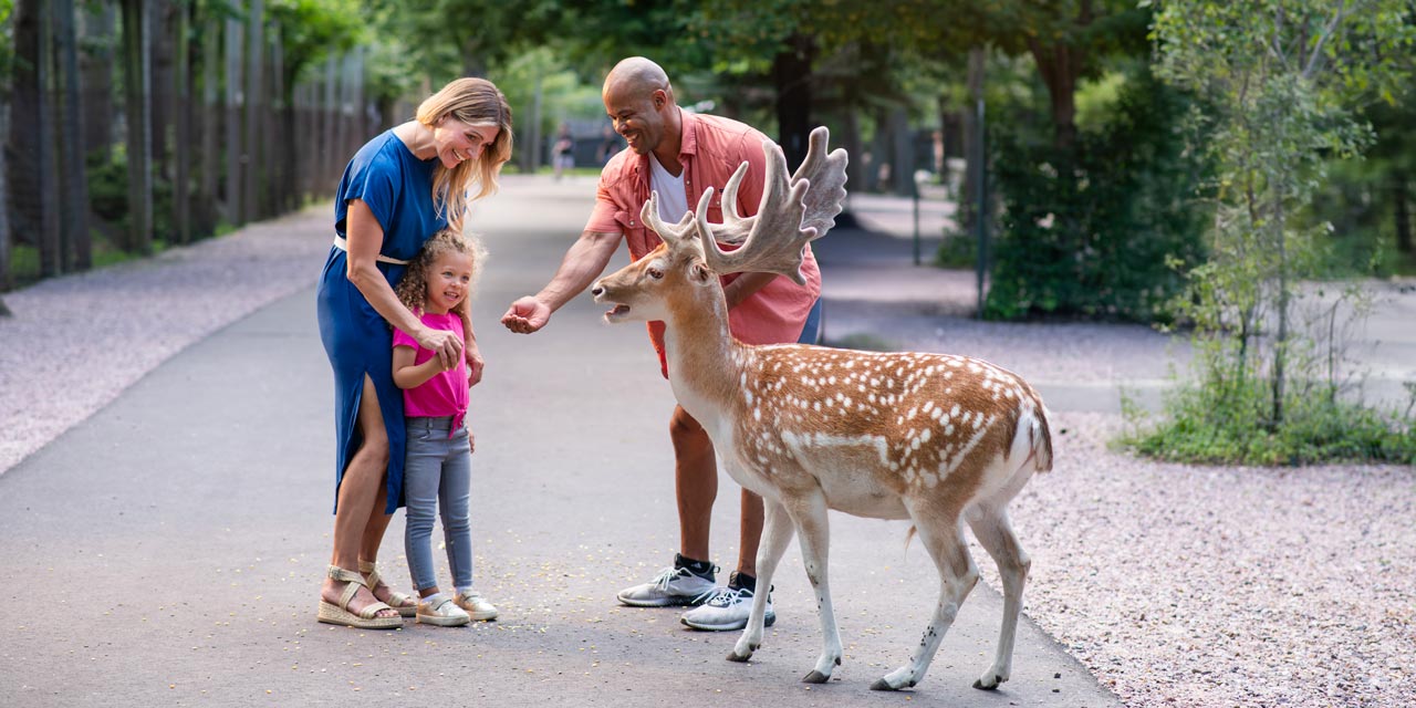 Family feeding an animal at Wisconsin Deer Park.