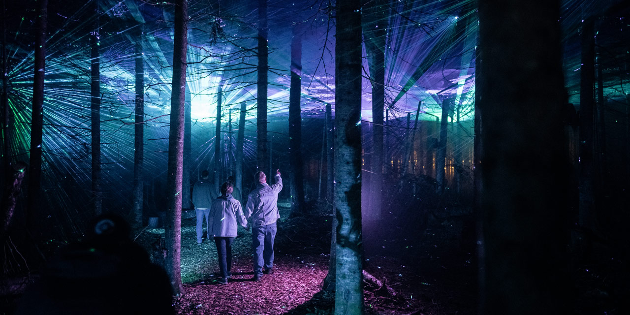 Couple walking in an immersive forest.