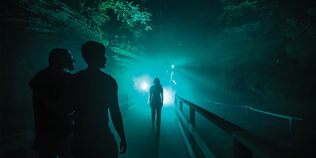 A silhouette of a person in a foggy green canyon.
