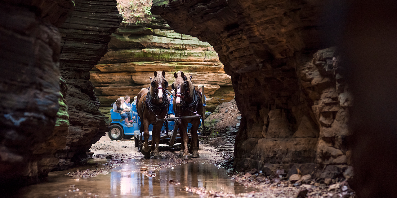 lost canyon horse tours cost